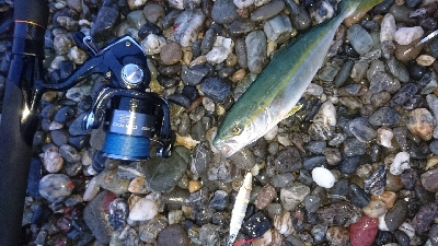 仁淀川周辺サーフ、ライトショアジギング ワカナ