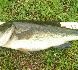 仕事前に寄り道