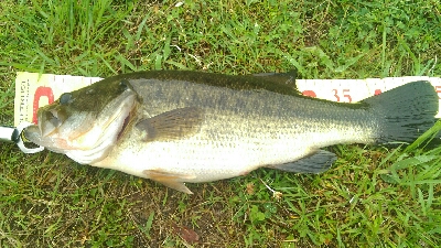 仕事前に寄り道