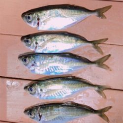 年号またぎアジング笑