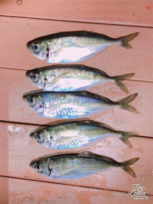 年号またぎアジング笑