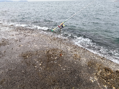 GWのアオリイカ釣行