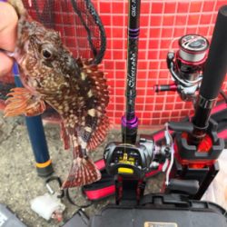 令和初釣行津田一文字ガシラ爆釣ポイント