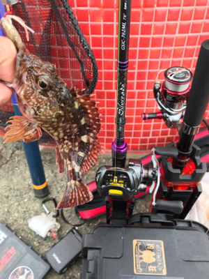 令和初釣行津田一文字ガシラ爆釣ポイント