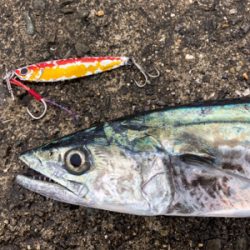 サゴワンから令和はスタート^_^