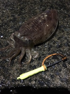 やっとコウちゃんに出会えた