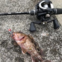 堤防ロックフィッシュ