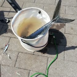 奇跡起きました！