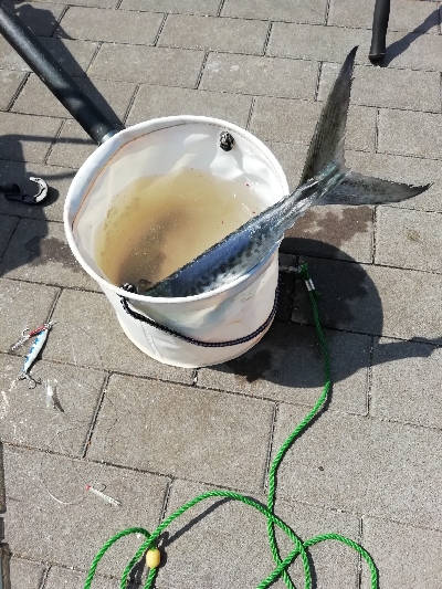 奇跡起きました！