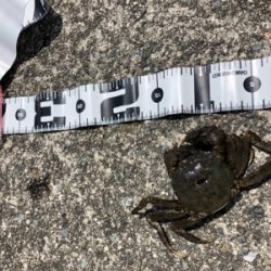 武庫川尻 ホームにて