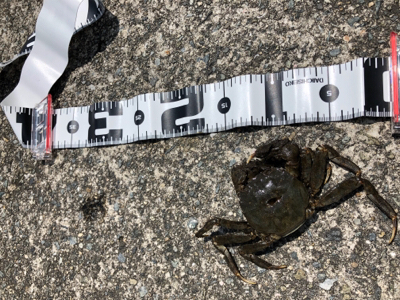 武庫川尻 ホームにて