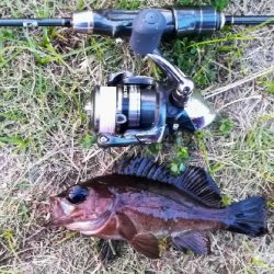 アジンガー1805~1850