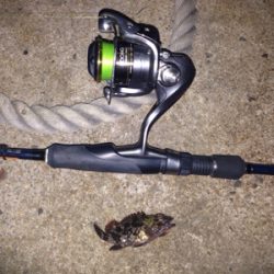 平成最後のライトゲーム