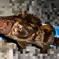 デカロックサーフプラッキング