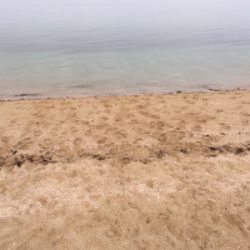 サーフフィッシング