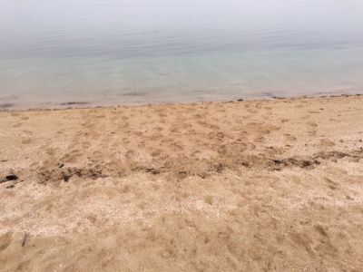 サーフフィッシング