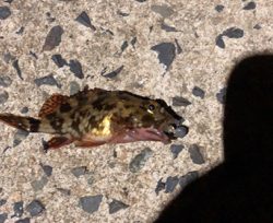 令和！初釣行♪