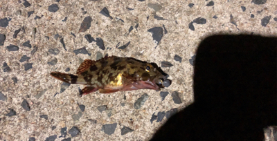 令和！初釣行♪