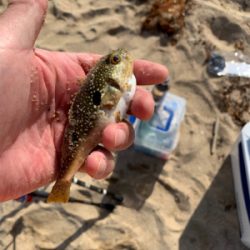 キス食べたくて