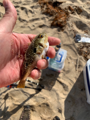 キス食べたくて