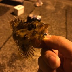 アジング&メバリング