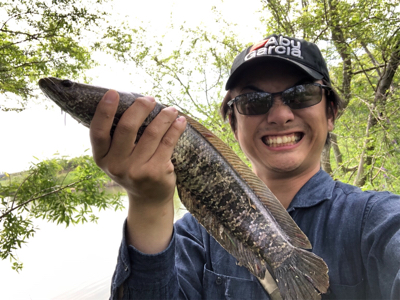 淀川 城北ワンド