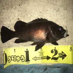 みんなでワイワイメバルゲーム☆GUNNING-STYLE