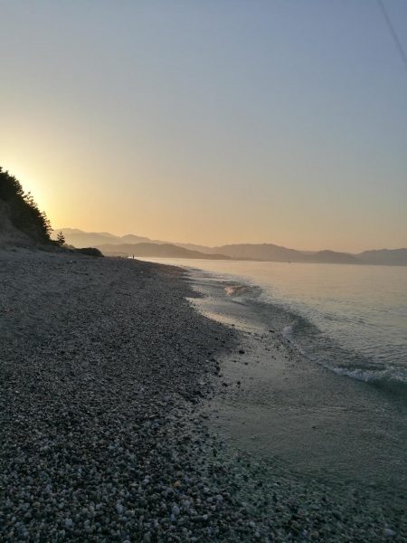 サーフでヒラメ