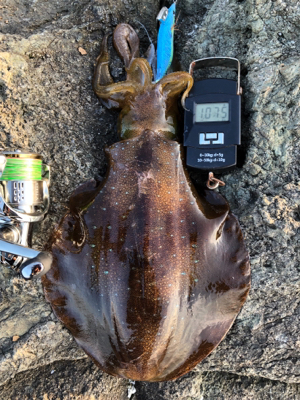 今年初キロアップ！