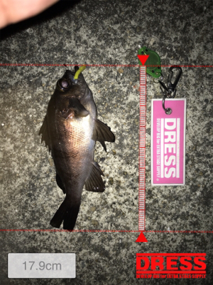 二夜連続メバリング