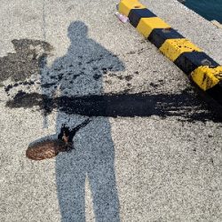 エギングでの人生初イカ!