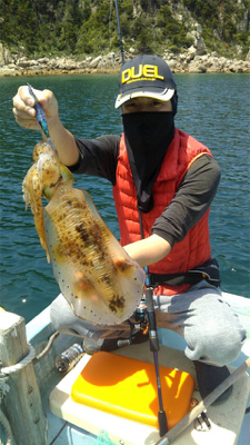 タイラバ 、ジギング、エギング