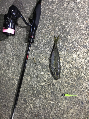 別場所にてアジング