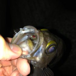 ボトムネチネチで連発！