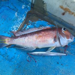 中深海とディープタイラバ