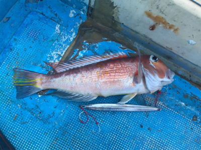 中深海とディープタイラバ