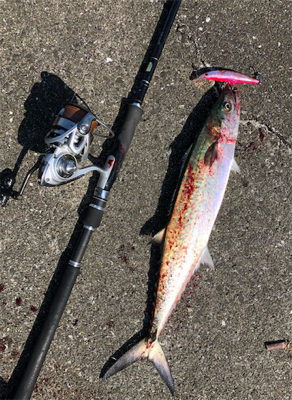 流行のアレ 連チャン出撃編