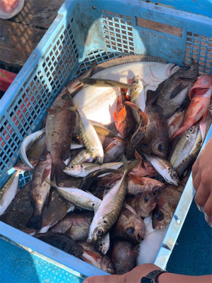 久々オフショア