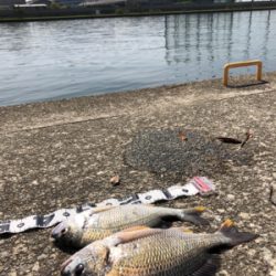 武庫川尻 ホームにてPart2