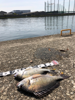 武庫川尻 ホームにてPart2