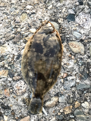 令和元年初釣行