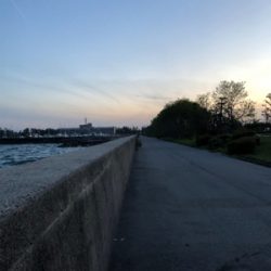 令和初フィッシュ