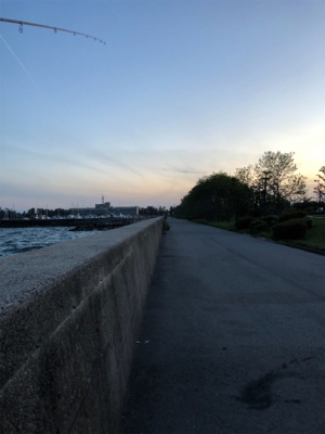 令和初フィッシュ