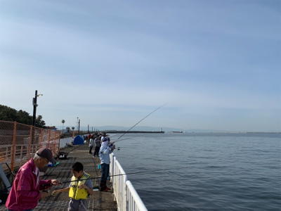 サゴシ不調のためガシラ