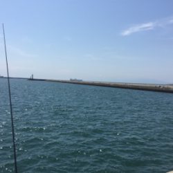 まったりキスチェック！