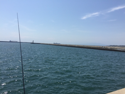 まったりキスチェック！