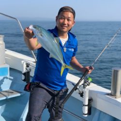 紀北のシラスナブラ