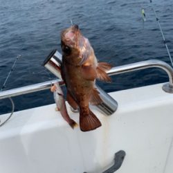 マイボート午前中釣行