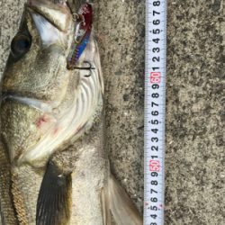 大荒れでしたが………