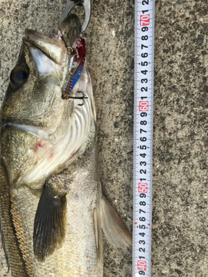 大荒れでしたが………